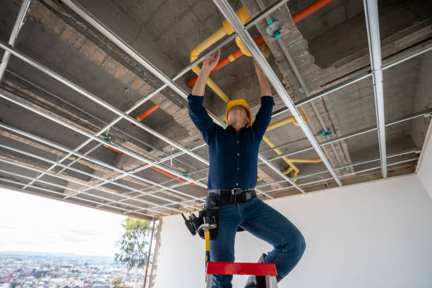 Best Plumbing Inspection Services  in Madison Lake, MN
