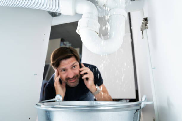 Best Same-Day Plumbing Service  in Madison Lake, MN