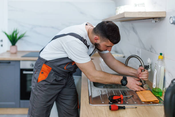 Best Best Plumbers Near Me  in Madison Lake, MN