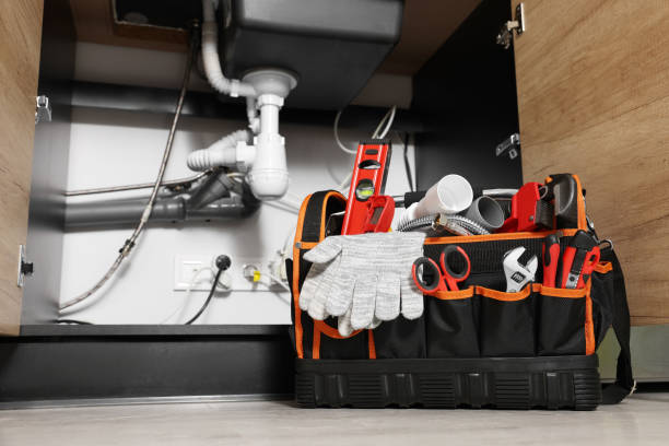 Best Local Plumber Services  in Madison Lake, MN